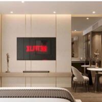 Chỉ từ 1,7  tỷ sở hữu ngay căn hộ cao cấp view vịnh di sản, VỐN ban đầu chỉ 510tr