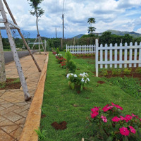 Đất Chính Chủ 166M² Di Linh Sổ Hồng Riêng, Giá Bán 268 Triệu Bao Phí Công Chứng, Ngân Hàng Ht Vay 70%