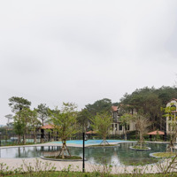 Thanh Xuan Valley Khu Đô Thị Biệt Lập Giữa Hàng Triệu Tán Thông: Sl Giới Hạn, Giữ Chỗ Ngay Hôm Nay!