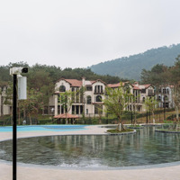 Thanh Xuan Valley Khu Đô Thị Biệt Lập Giữa Hàng Triệu Tán Thông: Sl Giới Hạn, Giữ Chỗ Ngay Hôm Nay!