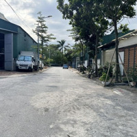 Tìm Chủ Nhân Mới Cho Lô Góc 150M2 Đất Kđt 31Ha Trâu Quỳ, Gia Lâm - Khu Dân Cư Văn Minh!