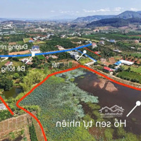 Bán Đất Giá Rẻ Tại Vùng Ven Đà Lạt, Chỉ 599 Tr