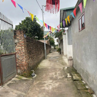 Bán Đất Dương Quang Gia Lâm | 50M | Mặt Tiền 4.2M | Đường Thông 2M | Giá Chỉ 57 Triệu/M