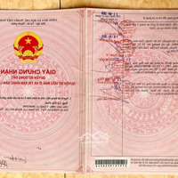 Bán Đất Tại Lập Thành, Hòa Khánh Tây, Đức Hòa, Long An Giá Ưu Đãi 1,3 Tỷ, 130M2