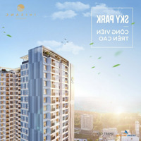 Giá Ngộp Bank Cần Bán Gấp Tầng Cao View Biển Và Thành Phố