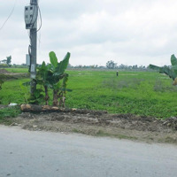 Bán Đất Tại Trung Nghĩa, Hợp Đức, Đồ Sơn, Hải Phòng, 2,8 Tỷ, 179,8 M2, Giá Siêu Hời