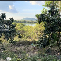 Chính Chủ - Bán Đất Vườn View Sông Đồi Hồ Trị An - Xã La Ngà 1000M2/ 1,2 Tỷ