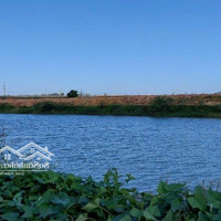 Đất Trồng Cây Hằng Năm View Sông Thăng Long Cảnh Đẹp Mát Mẻ, 300M2