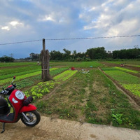 Đất Trồng Cây Hằng Năm View Sông Thăng Long Cảnh Đẹp Mát Mẻ, 300M2
