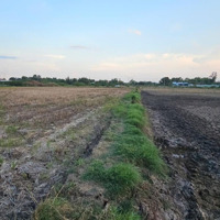 Chính Chủ Bán Đất - Giá Tốt Nhất Khu Vực Tân Kiên, Bình Chánh - Sổ Hồng Riêng