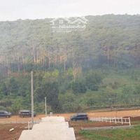 Đất Thổ Cư View Đồi Thông 6*30, Ngay Ubnd Xã Bla, Kdc Hiện Hữu Giá Chỉ 750 Triệu, Liên Hệ: 0937614666
