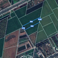 Cần Bán 2.930M2 Đất Trồng Cây Lâu Năm Tại Xã Lê Minh Xuân - Huyện Bình Chánh. Giá Chỉ: 2,5 Triệu/M2