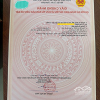 Bán Đất Mặt Tiền Nhựa Trần Văn Mười Vào 200M Có 2 Lô Lô Góc Và Lô Kế Bên Giá Bán 5Tỷ2