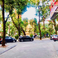 Hiếm Vị Trí Đẹp Trung Tâm Phố Tăng Bạt Hổ Hai Bà Trưng Hà Nộidiện Tích90M2 7 Tầng 29 Tỷ Liên Hệ: 0964519986