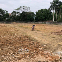 Bán Đất Xuân Linh Thuỷ Xuân Tiên Giáp Khu Công Nghiệp Nhuận Trạch Rất Phù Hợp Làm Phân Lô.