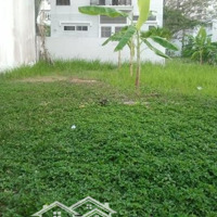Cần Bấn Gấp Quĩ Đất Siêu Đẹp Mặt Tiền Đường Đào Trí, P. Phú Thuận, Q7. Giá Bán: 500 Tỷ -Diện Tích7200 M2