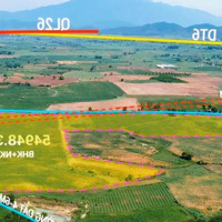 Bán Đất Diện Tích Lớn 55,000 M2 Quy Hoạch Nông Nghiệp Khác Ninh Xuân - Ninh Hòa