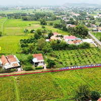 Bán Đất Tại Đt 7, Ninh Thọ, Ninh Hòa, Khánh Hòa, Giá Cực Chất 699 Triệu, 232.2 M2