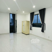 Cho Thuê Cc Mini Ở Phường Phú Mỹ, Quận 7, Giá Bán 6,5 Triệu Vnd, 35M2 Liên Hệ: 0918730482 Mình Trang