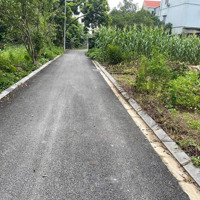 Chỉ 2 Tỷ 900 Triệu Sở Hữu Ngay 65M2 Đất Vuông Vắn Tại Dương Quang Gia Lâm, Đường Oto Ngõ Nông.