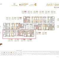 Tổ Ấm Lý Tưởng Cho Đại Gia Đình - Căn Hộ Đập Thông 313,9M2, Vay 70%, Ocean Park 2