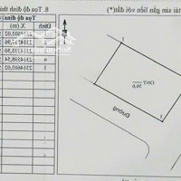 Cần Bán Đất Đẹp 58M2 ,Tân Tiến Văn Giang Hưng Yên, Ôtô Phân Lô,Hoa Hậu,3 Tỷ Còn Thương Lượng.
