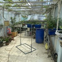 Cho Thuê Nguyên Căn 4 Tầng, Hẻm Lớn 1 Sẹc Gần Chợ Rạch Ông Đường Nguyễn Thị Tần