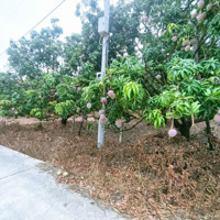 Bán Đất Mặt Tiền Số 7Diện Tích5.846M2 Cam Thành Bắc Cam Lâm