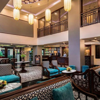 Cho Thuê Khách Sạn View Biển An Bàng Mặt Phố Nguyễn Phan Vinh, 380 Triệu, 2000M2 Đẹp, Nhiều Tiện