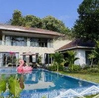 Bán Biệt Thự Flamingo Mặt Hồ Đại Lải Diện Tích Sổ Đỏ 700M2 Giá Đầu Tư