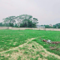 Bán 1869M2 Có 200M2 Tc. Tại Xã Nam Phương Tiến Chương Mỹ Hà Nội. Đất Vuông Vắn Bằng Phẳng Danh Giới