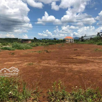 Chính Chủ Cần Bán Lô Đất 203M2 Tại Di Linh, Lâm Đồng Có Sổ Hồng Riêng