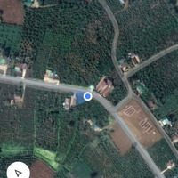 Bán Đất Di Linh, Hòa Ninh, Lâm Đồng Giá Bán 5 Tỷ
