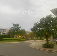 Cho Thuê Cc Mini Dragon Village, 5 Triệu Vnd, 70M2, View Đẹp, Phú Hữu, Quận 9, Hcm