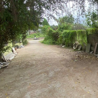 Bán Lô Đất Kiệt Ô Tô 5M Thôn Dương Sơn, Hòa Châu, Đà Nẵng Gần Trung Tâm Thành Phố