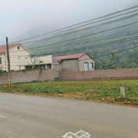 Chính Chủ Gửi Bán Lô400M Tại Bãi Dài , Tiến Xuân Thạh Thất Hn