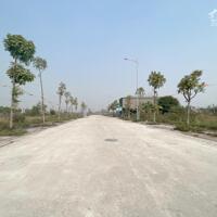 Bán đất đấu giá Lai Sơn, Đồng Tâm, Vĩnh Yên, Vĩnh Phúc