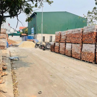 Hiếm Có 60M Lô Góc Lê Xá , Xã Mai Lâm , Đông Anh