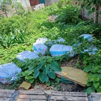 A Luân Cần Bán 40 M2 Đất Tại Đông Dư Hạ, Xã Bát Tràng,Gia Lâm.hà Nội