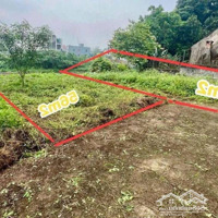 Bán Đất Tại Hà Nam 600 Triệu, 60M2