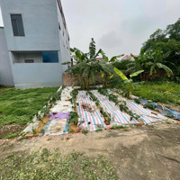 Cần Bán Nhanh Lô Đất 43,6M2 Thôn Xuân Nộn - Xuân Nộn - Đông Anh, Giá Mềm Như Bún Đầu Tư Tiềm Năng