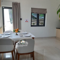 Nhà Mặt Tiền Ngay Lý Thường Kiệt Q.tân Bình , Diện Tích: 4,3M X 27M , 3 Tầng Mới , Giá Chỉ 16 Tỷ Tl