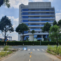 Bán Đất Sổ Đỏ Cá Nhân Cát Lái, Liền Sát Trường Đại Học Umt,Diện Tích7X20M, Dãy C3-08, Giá Bán 58 Triệu/M2