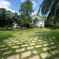 Cho Thuê Vườn Kèm Biệt Thự 3.800M2, 34 Triệu/Tháng, Gần Vinhomes Q9, Lý Tưởng Pickle Ball, Spa