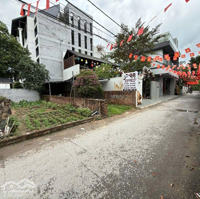 Chủ Gửi Bán Lô Đấtdiện Tích56,3M2 Tại Quyết Tiến Vân Côn Hoài Đức Ace Alô E Hưởng Để Xem Đất 0868505166