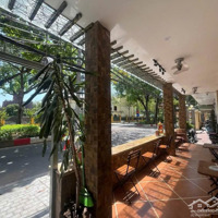 Bán Nhà Mặt Phố Nguyễn Tri Phương, Ba Đình, 41,5 Tỷ, 47 M2, Mặt Tiền 6,8M, Lô Góc View Đẹp