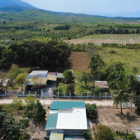 Có 1 Không 2 Lô Đất 4500M2 Có Nhà Vườn Cấp 4 Tại Ninh Tân, Ninh Hòa Giá Chỉ 900K/M2