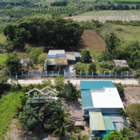Có 1 Không 2 Lô Đất 4500M2 Có Nhà Vườn Cấp 4 Tại Ninh Tân, Ninh Hòa Giá Chỉ 900K/M2