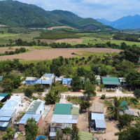 Có 1 Không 2 Lô Đất 4500M2 Có Nhà Vườn Cấp 4 Tại Ninh Tân, Ninh Hòa Giá Chỉ 900K/M2
