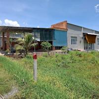 6x60 nở hậu, đất phù hợp thổ cư. Dân cư đông. 3xxtr